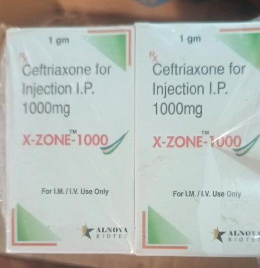 X-ZONE-1000