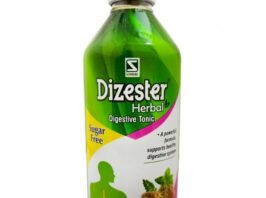 DIZESTER 200ML SYP